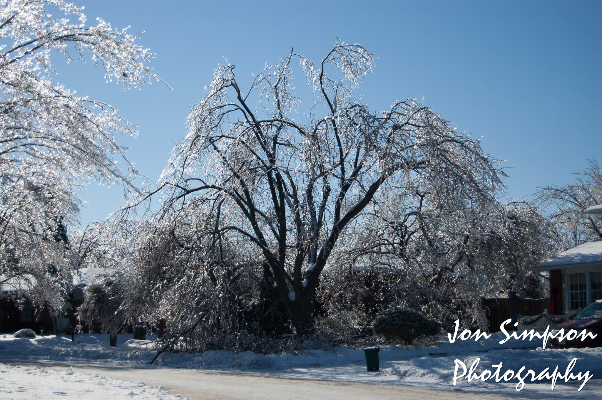 Ice Trees (8 of 15)